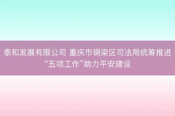 泰和发展有限公司 重庆市铜梁区司法局统筹推进“五项工作”助力平安建设
