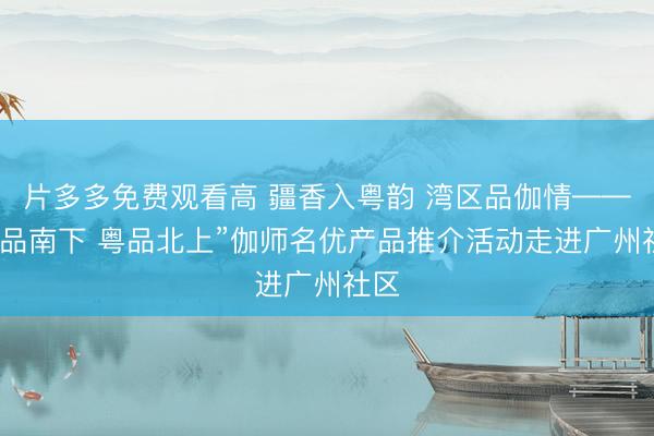 片多多免费观看高 疆香入粤韵 湾区品伽情——“疆品南下 粤品北上”伽师名优产品推介活动走进广州社区