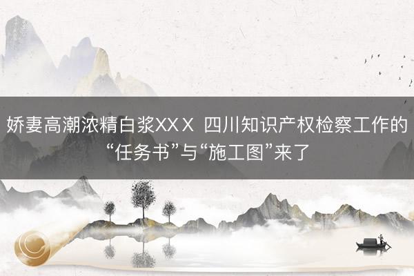 娇妻高潮浓精白浆XXⅩ 四川知识产权检察工作的“任务书”与“施工图”来了
