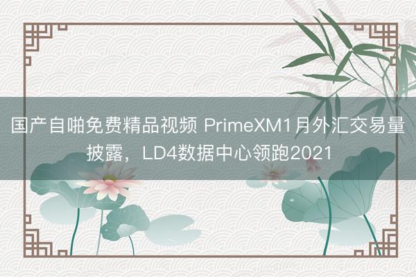国产自啪免费精品视频 PrimeXM1月外汇交易量披露，LD4数据中心领跑2021