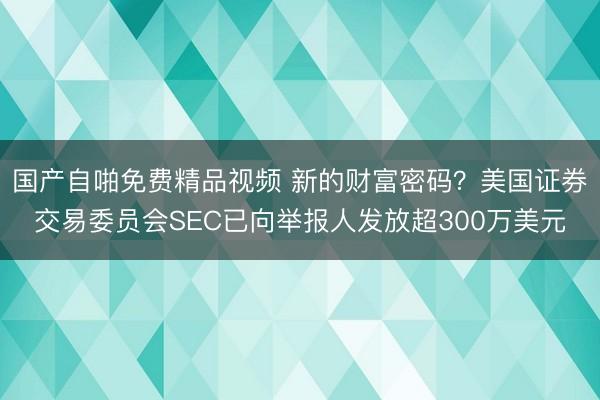 国产自啪免费精品视频 新的财富密码？美国证券交易委员会SEC已向举报人发放超300万美元