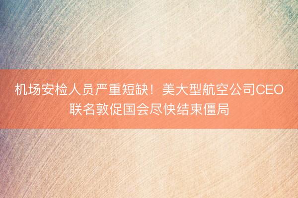 机场安检人员严重短缺！美大型航空公司CEO联名敦促国会尽快结束僵局