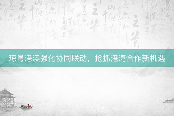 琼粤港澳强化协同联动，抢抓港湾合作新机遇