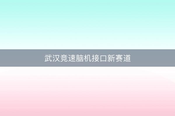 武汉竞速脑机接口新赛道