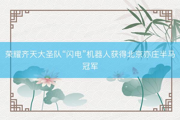 荣耀齐天大圣队“闪电”机器人获得北京亦庄半马冠军