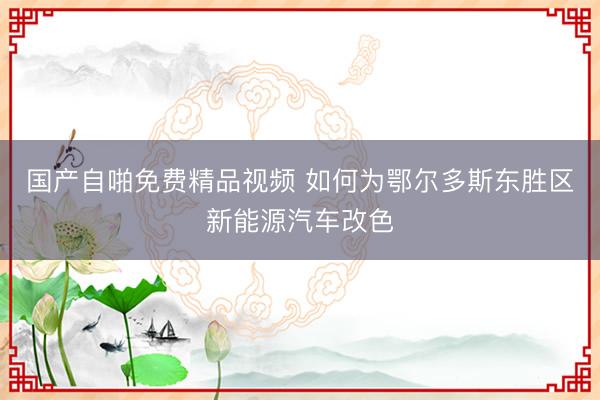 国产自啪免费精品视频 如何为鄂尔多斯东胜区新能源汽车改色