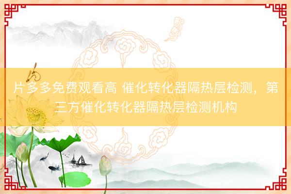 片多多免费观看高 催化转化器隔热层检测，第三方催化转化器隔热层检测机构