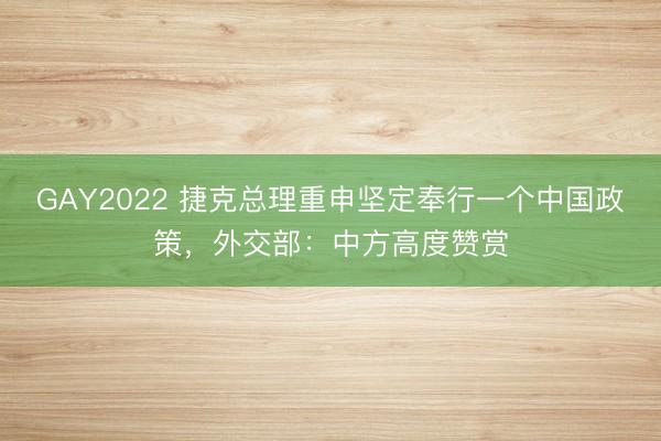 GAY2022 捷克总理重申坚定奉行一个中国政策，外交部：中方高度赞赏