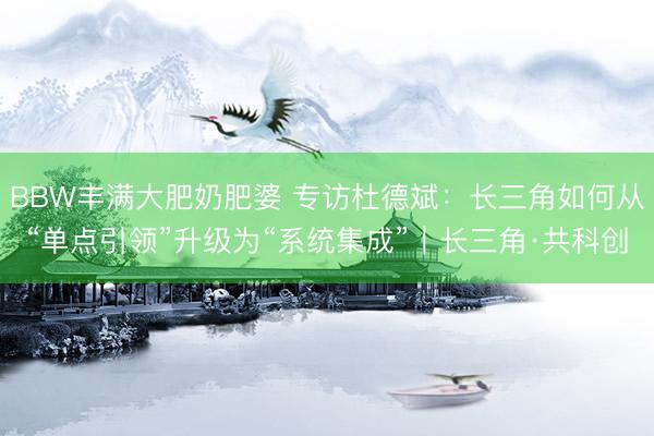 BBW丰满大肥奶肥婆 专访杜德斌：长三角如何从“单点引领”升级为“系统集成”｜长三角·共科创