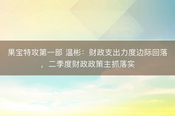 果宝特攻第一部 温彬：财政支出力度边际回落，二季度财政政策主抓落实