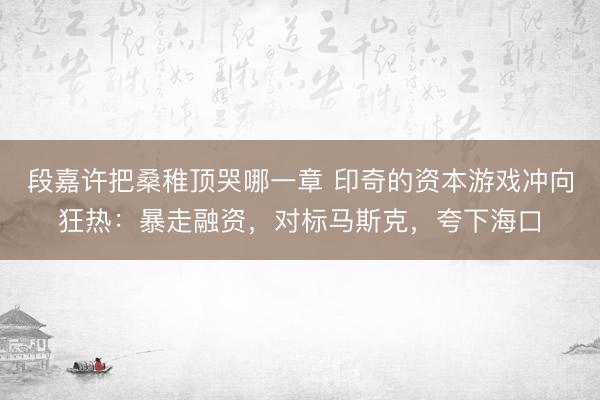 段嘉许把桑稚顶哭哪一章 印奇的资本游戏冲向狂热：暴走融资，对标马斯克，夸下海口
