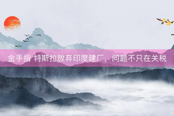 金手指 特斯拉放弃印度建厂，问题不只在关税