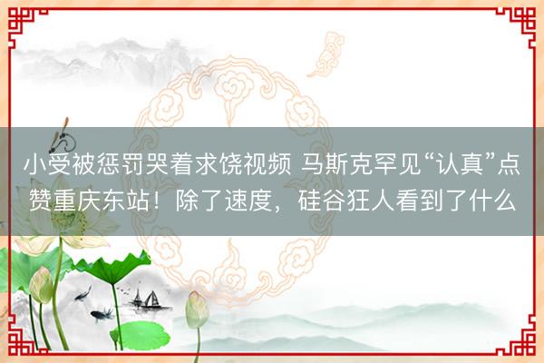 小受被惩罚哭着求饶视频 马斯克罕见“认真”点赞重庆东站！除了速度，硅谷狂人看到了什么