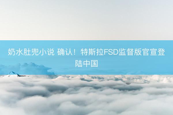 奶水肚兜小说 确认！特斯拉FSD监督版官宣登陆中国
