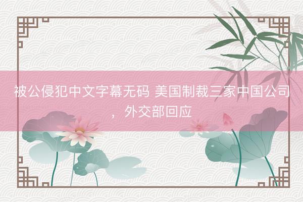 被公侵犯中文字幕无码 美国制裁三家中国公司，外交部回应
