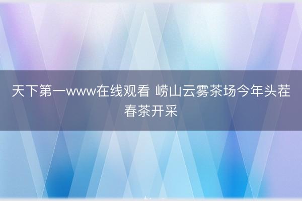 天下第一www在线观看 崂山云雾茶场今年头茬春茶开采