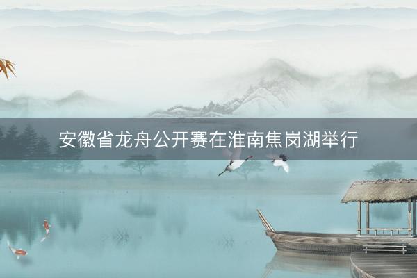 安徽省龙舟公开赛在淮南焦岗湖举行