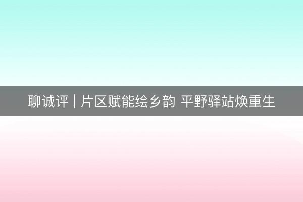 聊诚评 | 片区赋能绘乡韵 平野驿站焕重生