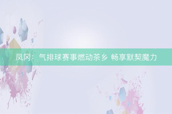 凤冈:气排球赛事燃动茶乡 畅享默契魔力
