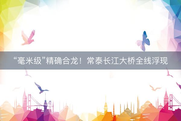 “毫米级”精确合龙！常泰长江大桥全线浮现