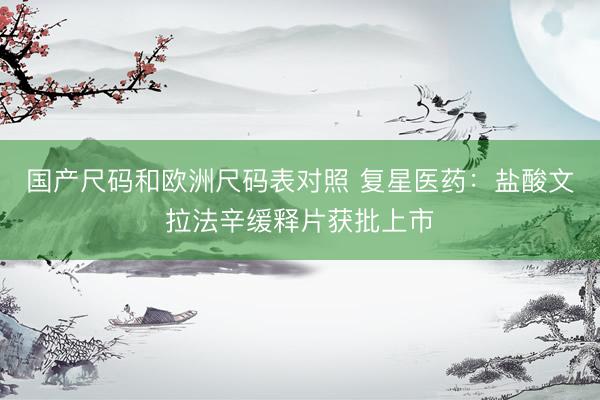 国产尺码和欧洲尺码表对照 复星医药：盐酸文拉法辛缓释片获批上市
