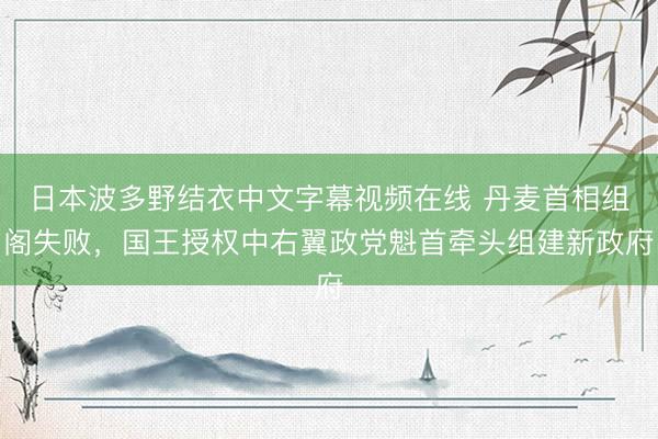 日本波多野结衣中文字幕视频在线 丹麦首相组阁失败，国王授权中右翼政党魁首牵头组建新政府