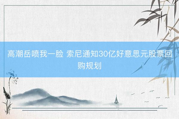 高潮岳喷我一脸 索尼通知30亿好意思元股票回购规划