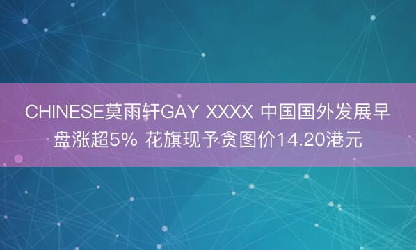 CHINESE莫雨轩GAY XXXX 中国国外发展早盘涨超5% 花旗现予贪图价14.20港元