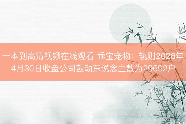 一本到高清视频在线观看 乖宝宠物：轨则2026年4月30日收盘公司鼓动东说念主数为29692户