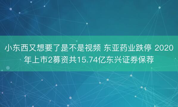 小东西又想要了是不是视频 东亚药业跌停 2020年上市2募资共15.74亿东兴证券保荐