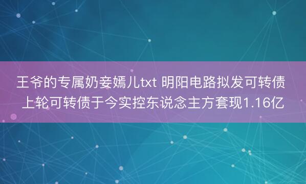 王爷的专属奶妾嫣儿txt 明阳电路拟发可转债 上轮可转债于今实控东说念主方套现1.16亿