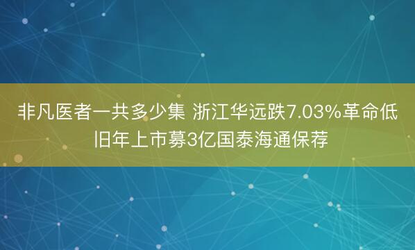 非凡医者一共多少集 浙江华远跌7.03%革命低 旧年上市募3亿国泰海通保荐