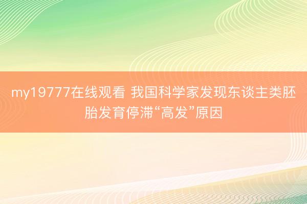 my19777在线观看 我国科学家发现东谈主类胚胎发育停滞“高发”原因