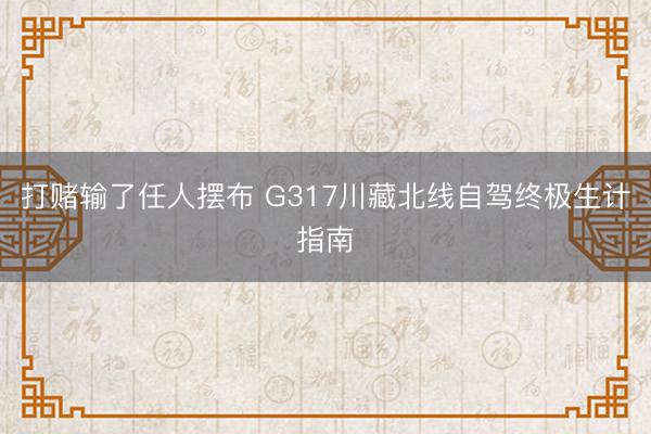 打赌输了任人摆布 G317川藏北线自驾终极生计指南