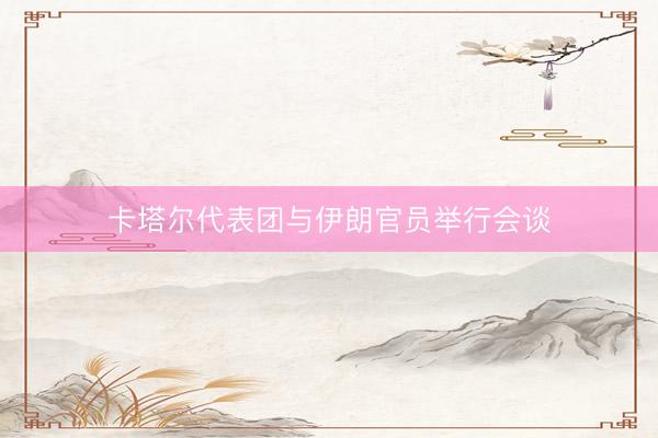 卡塔尔代表团与伊朗官员举行会谈