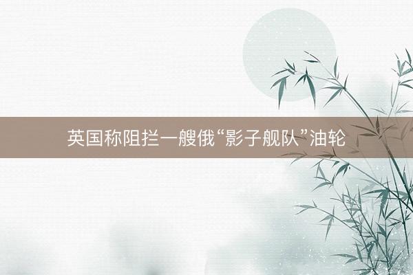 英国称阻拦一艘俄“影子舰队”油轮
